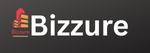 Bizzurevisa