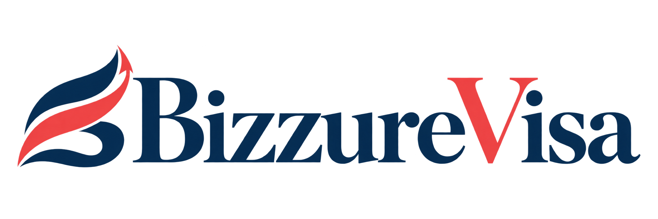 BizzureVisa